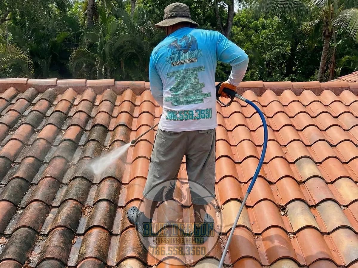 Roof Cleaning in Miami & Doral | Blue Dragon Pressure Cleaning