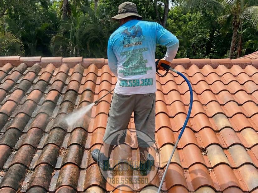 Professional Soft Wash Roof Cleaning in Pinecrest